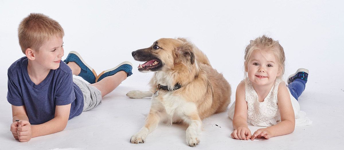 kids pet love
