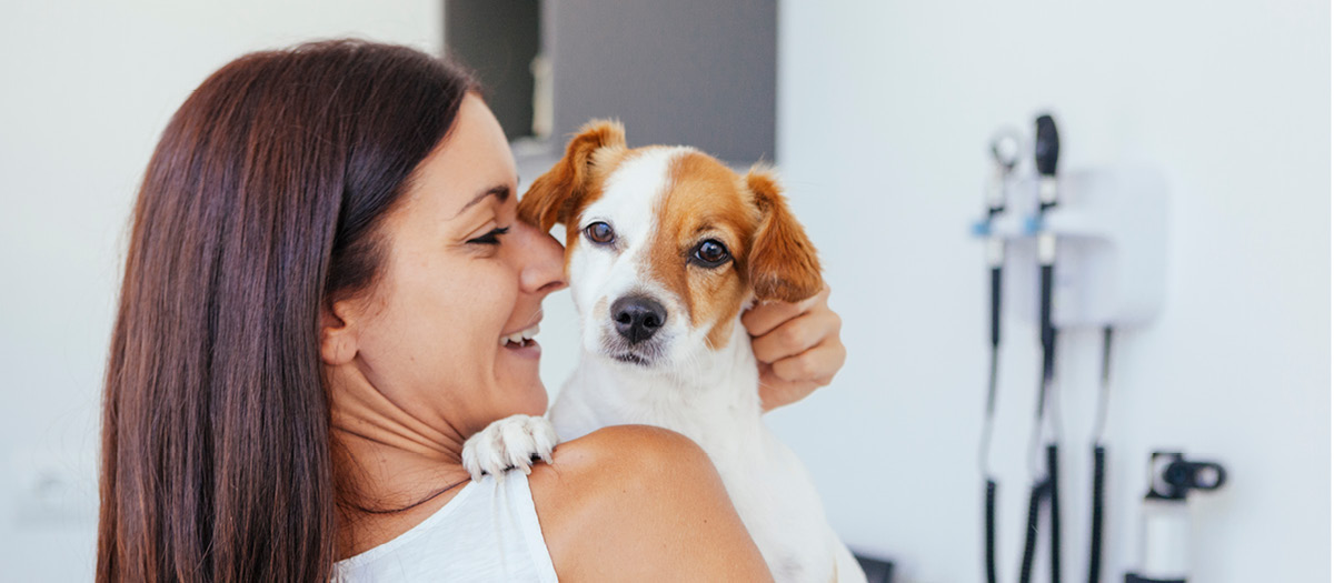 dog vet vaccine